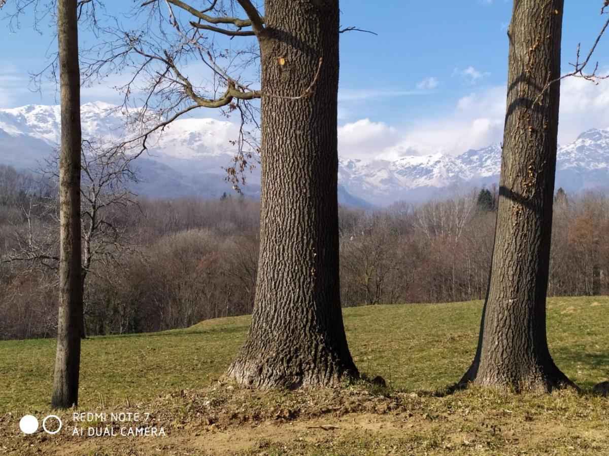 Cascina Serra Eco-House Beb Muzzano Dış mekan fotoğraf